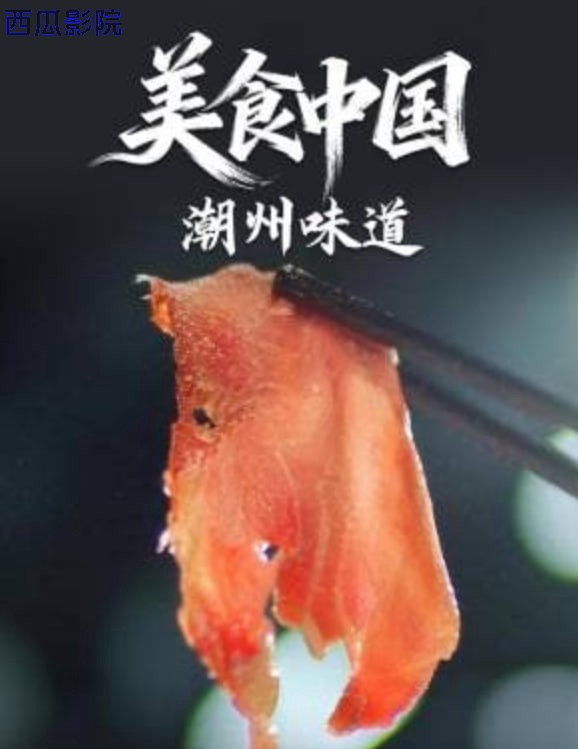 美食中国·潮州味道